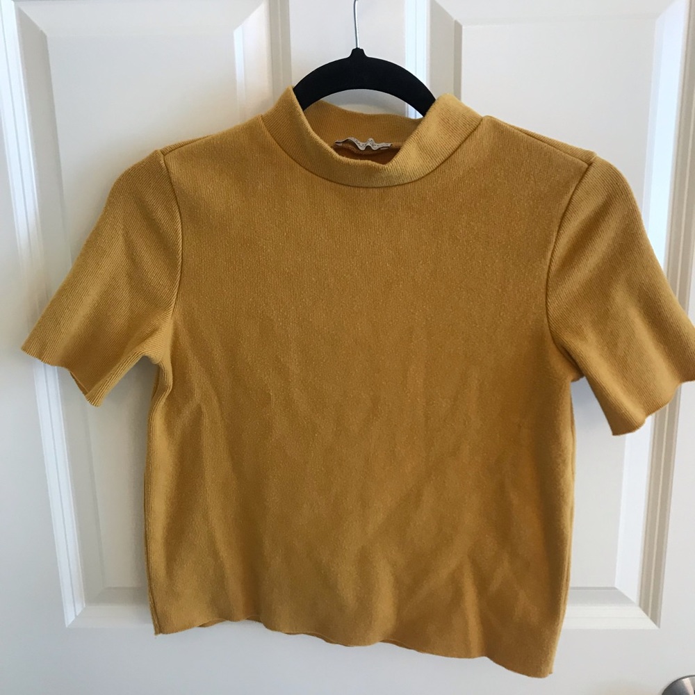 Zara crop top